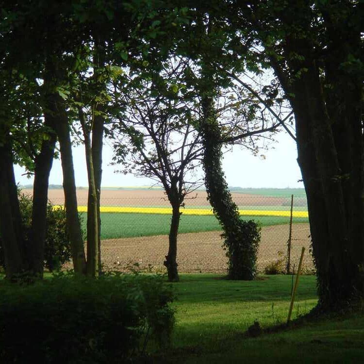 015-Backlight at the bottom of the garden