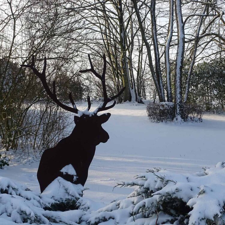 029-a deer in the snowy garden